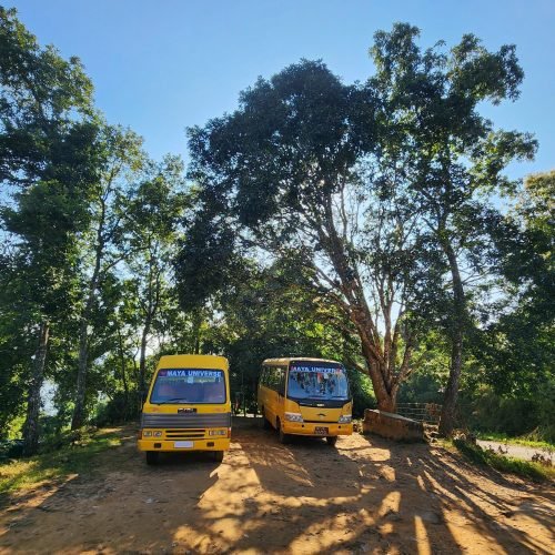 583643250_1184467173851169_6257773321073215038_n