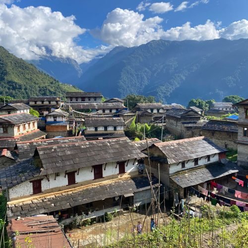 WhatsApp Image 2026-02-11 at 20.02.40